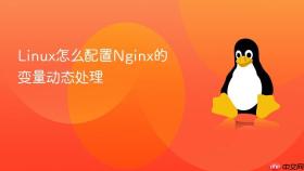 Linux怎么配置Nginx的变量动态处理