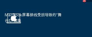 macbook屏幕排线受损导致的“舞台灯”现象