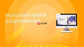 macbook如何关闭所有正在运行的脚本程序