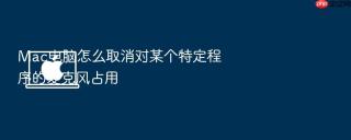 mac电脑怎么取消对某个特定程序的麦克风占用
