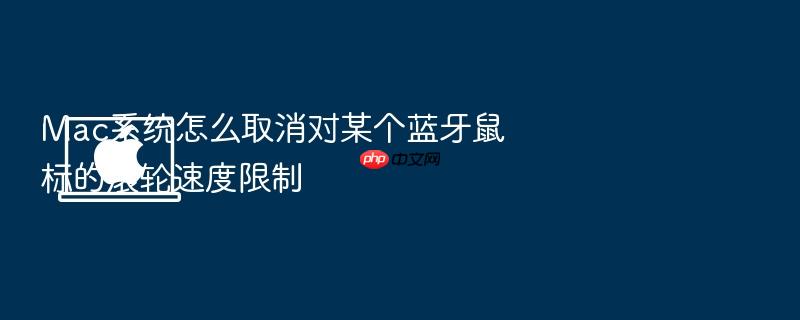 mac系统怎么取消对某个蓝牙鼠标的滚轮速度限制