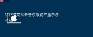 Mac版网易云音乐歌词不显示怎么解决