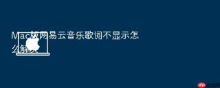 mac版网易云音乐歌词不显示怎么解决