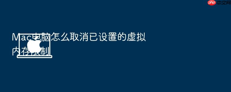 mac电脑怎么取消已设置的虚拟内存限制