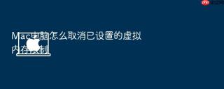 mac电脑怎么取消已设置的虚拟内存限制