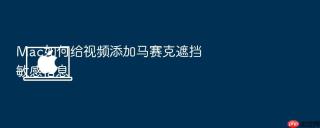 mac如何给视频添加马赛克遮挡敏感信息