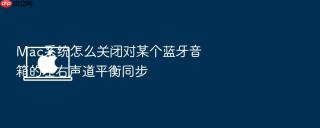 mac系统怎么关闭对某个蓝牙音箱的左右声道平衡同步