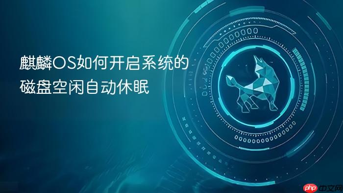 麒麟os如何开启系统的磁盘空闲自动休眠