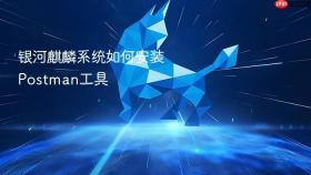 银河麒麟系统如何安装Postman工具