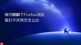 银河麒麟下firefox浏览器打不开网页怎么办