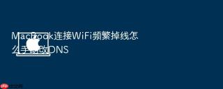 macbook连接wifi频繁掉线怎么手动改dns