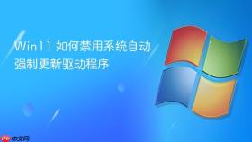 win11 如何禁用系统自动强制更新驱动程序