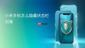 小米手机怎么隐藏状态栏刘海