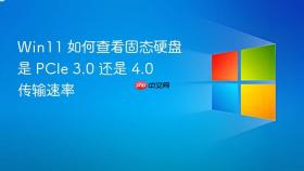 win11 如何查看固态硬盘是 pcie 3.0 还是 4.0 传输速率
