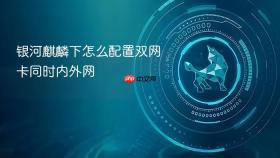 银河麒麟下怎么配置双网卡同时内外网