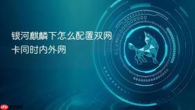 银河麒麟下怎么配置双网卡同时内外网