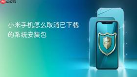 小米手机怎么取消已下载的系统安装包
