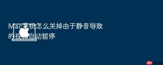 mac系统怎么关掉由于静音导致的视频自动暂停