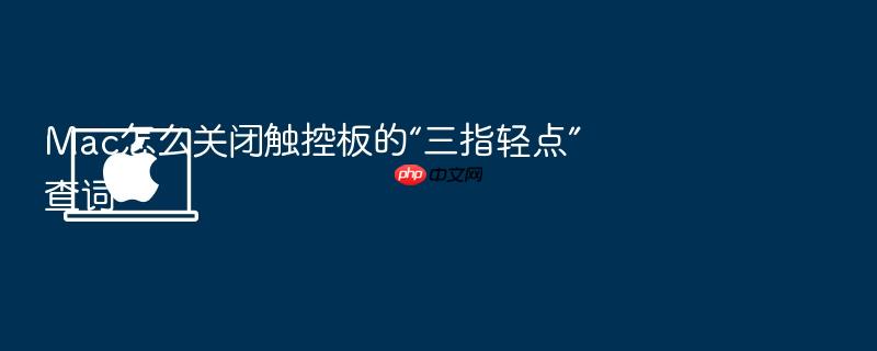 mac怎么关闭触控板的“三指轻点”查词