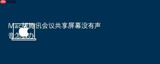 mac版腾讯会议共享屏幕没有声音怎么办