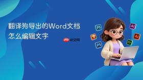 翻译狗导出的Word文档怎么编辑文字