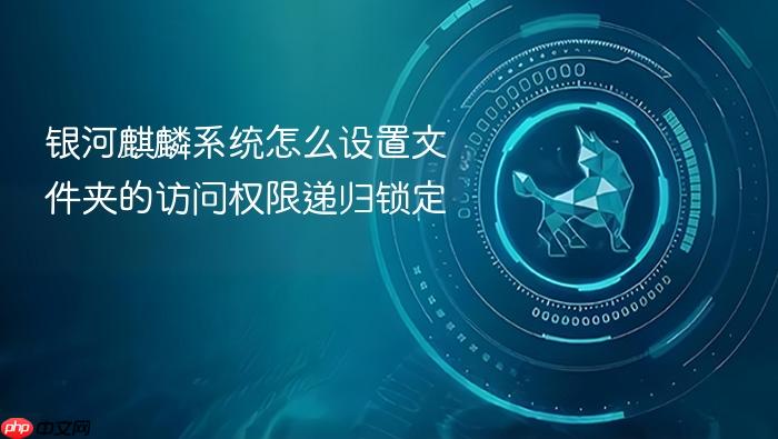 银河麒麟系统怎么设置文件夹的访问权限递归锁定
