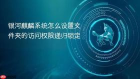 银河麒麟系统怎么设置文件夹的访问权限递归锁定