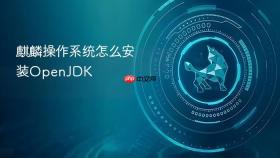 麒麟操作系统怎么安装OpenJDK