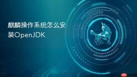 麒麟操作系统怎么安装openjdk