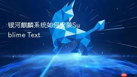 银河麒麟系统如何安装Sublime Text
