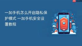 一加手机怎么开启隐私保护模式 一加手机安全设置教程