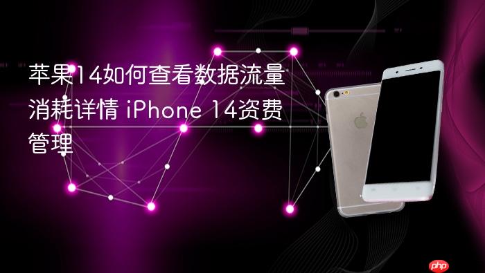 苹果14如何查看数据流量消耗详情 iphone 14资费管理