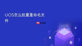 uos怎么批量重命名文件