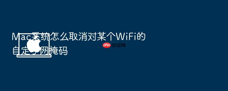 mac系统怎么取消对某个wifi的自定子网掩码