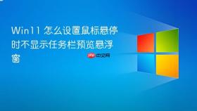Win11 怎么设置鼠标悬停时不显示任务栏预览悬浮窗