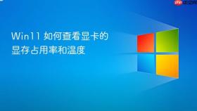Win11 如何查看显卡的显存占用率和温度