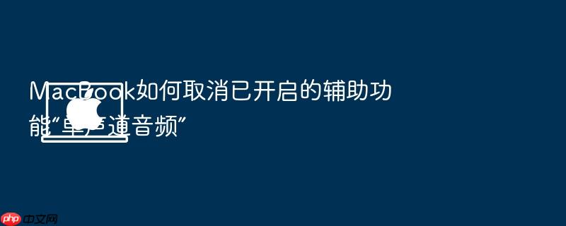 macbook如何取消已开启的辅助功能“单声道音频”