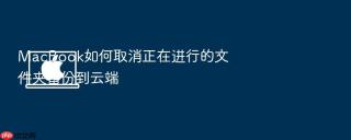 macbook如何取消正在进行的文件夹备份到云端