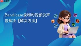 bandicam录制的视频没声音解决【解决方法】