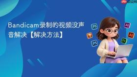 Bandicam录制的视频没声音解决【解决方法】
