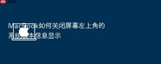 macbook如何关闭屏幕左上角的系统版本信息显示