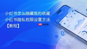 小红书怎么隐藏我的收藏 小红书隐私权限设置方法【教程】