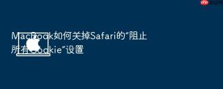 macbook如何关掉safari的“阻止所有cookie”设置