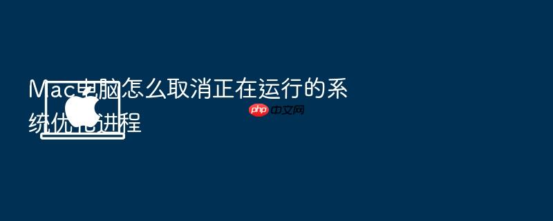 mac电脑怎么取消正在运行的系统优化进程