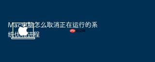mac电脑怎么取消正在运行的系统优化进程