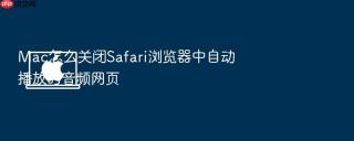 mac怎么关闭safari浏览器中自动播放的音频网页