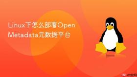 linux下怎么部署openmetadata元数据平台