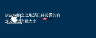 Mac电脑怎么取消已经设置的自定义辅助光标大小