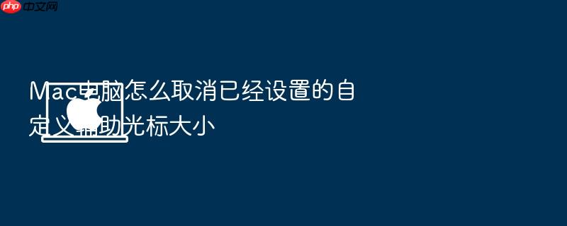 mac电脑怎么取消已经设置的自定义辅助光标大小