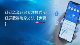 钉钉怎么开启专注模式 钉钉屏蔽群消息方法【步骤】